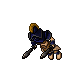 Arena Champion Female